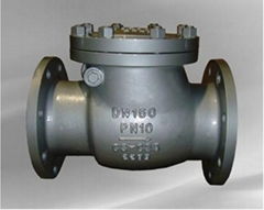 DIN swing check valve