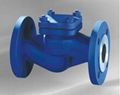 DIN piston check valve