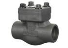 Forged steel check valve