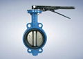 Concentric butterfly valve