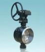 DIN triple offset butterfly valve 2