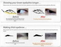 Evolution Eyebrow Tonic 5