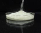 chondroitin sulphate