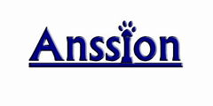 Shenzhen Anssion Technology Co.,Ltd. 