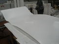 ptfe sheet /teflon sheet  5