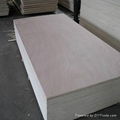 poplar core plywood 1