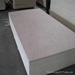 poplar core plywood