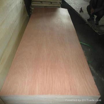 poplar core plywood 2