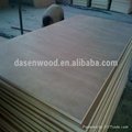poplar core plywood 3
