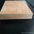 poplar core plywood 4