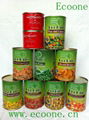 canned food-broad beans