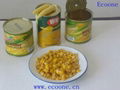 canned sweet corn 1