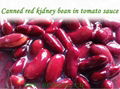 canned red kidney beans 