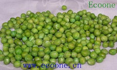 canned green peas 
