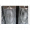 PVC Coated Square Wire Mesh 2