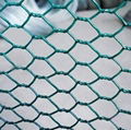 hexagonal double twisted wire mesh 4