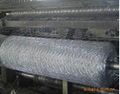 hexagonal double twisted wire mesh 5