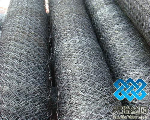 Hexagonal Wire Netting 4