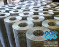 Welded Wire Mesh in Rolls & Panels