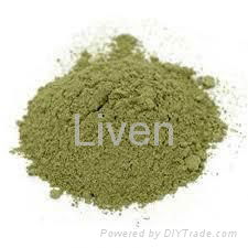 Green coffee bean extract