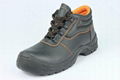 Safety Shoes 1