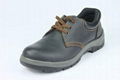 Safety Shoes 1