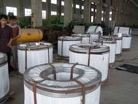 Stainless Steel Strip in Coil (SUS201,202,304,316,410,410S,430 etc) 4