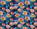 DIGITAL PRINT FABRICS 4