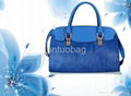 Korea Style Luxury Genuine Leather Lady Tote and Shoulder bag