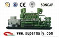 8kw-1100kw gas generator