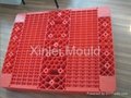 plastic injection tray mould 3