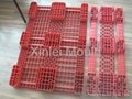 plastic injection tray mould 4