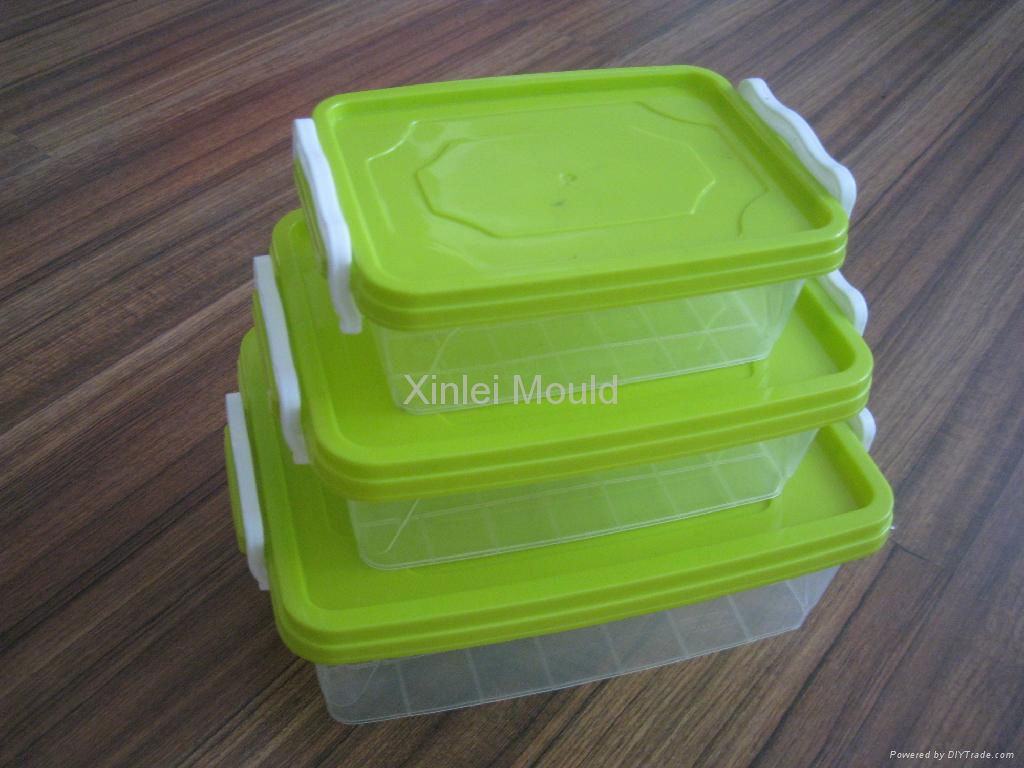 Plastic Injection Preservation Box Mould 3