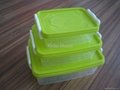 Plastic Injection Preservation Box Mould 3