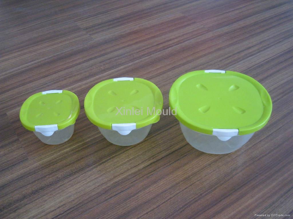 Plastic Injection Preservation Box Mould 2