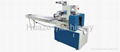 Horizontal Flow Wrapping Machine 1