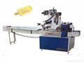 Economy Ice Cream Packaging Equipment 1