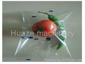 Pepper packaging in horizontal flow wrapper 2