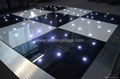 Illuminated Dance Floor with Twinkle LED