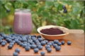 blueberry anthocyanins
