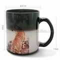 11oz Color Changing Mug_Magic