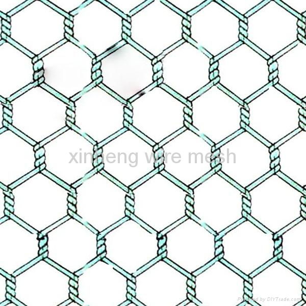 pvc or galvanized hexagonal wire mesh 2