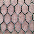 pvc or galvanized hexagonal wire mesh 4