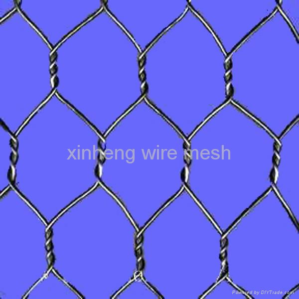 pvc or galvanized hexagonal wire mesh 5