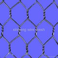 pvc or galvanized hexagonal wire mesh 5