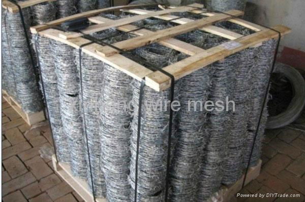 hot sale galvanized barbed wire  4