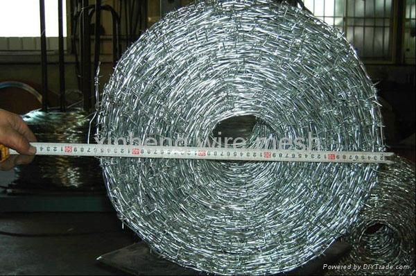 hot sale galvanized barbed wire  5