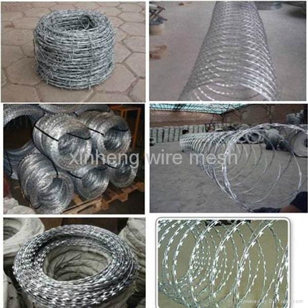 hot sale galvanized barbed wire  3