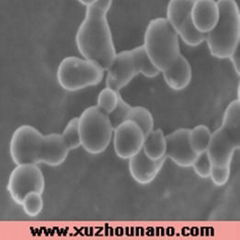 Pure Nano Silicon Powder as Semiconductor Si