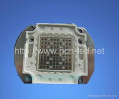 80W LED Plant Grow Light integrated source 